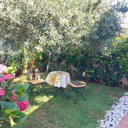 Appartamento Alida Umag Buitenkant foto