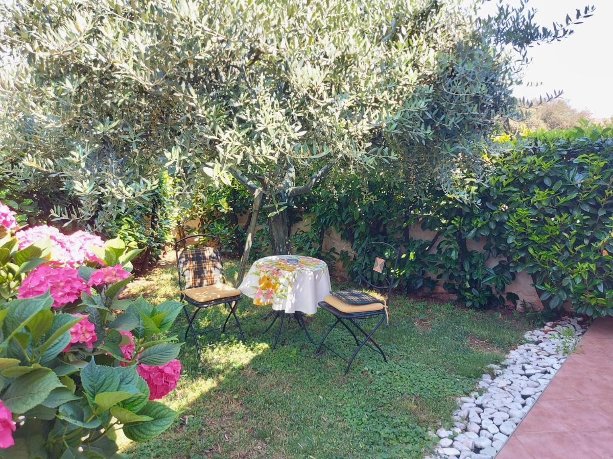 Appartamento Alida Umag Buitenkant foto