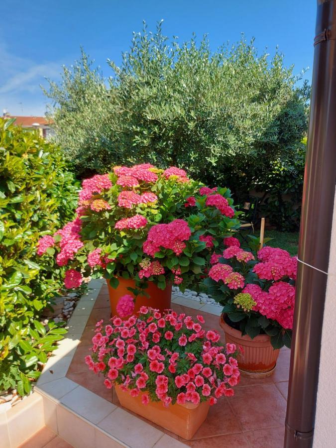 Appartamento Alida Umag Buitenkant foto